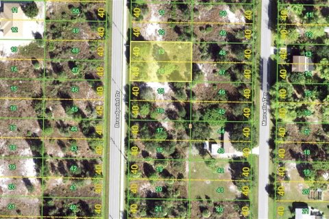 Land in Punta Gorda, Florida № 2228703 - photo 2