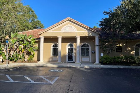 Immobilier commercial à Tampa, Floride 263.38 m2 № 2436726