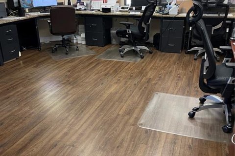 Immobilier commercial à louer à Tampa, Floride: 263.38 m2 № 2436726 - photo 3