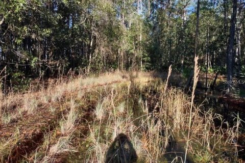Land in Palatka, Florida № 2157936 - photo 8