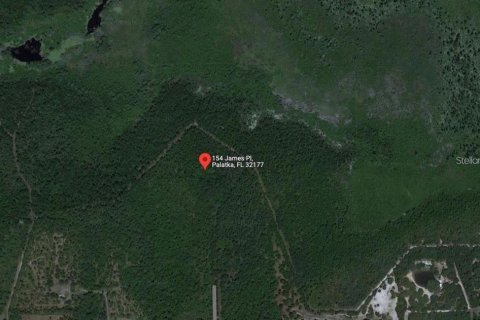 Купить земельный участок в Палатка, Флорида № 2157936 - фото 6