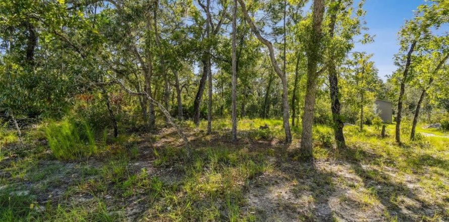 Land in Weeki Wachee, Florida № 1878249