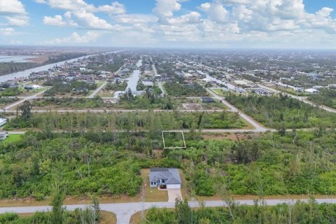 Купить земельный участок в Порт-Шарлотт, Флорида № 2164941 - фото 2