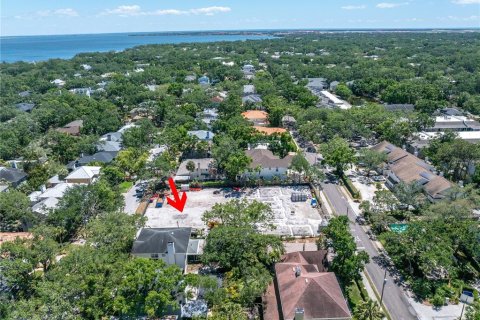 Land in Tampa, Florida № 1879304 - photo 7