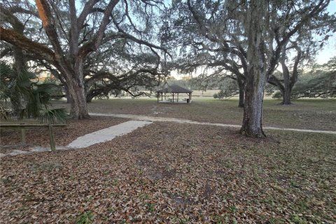 Terrain à vendre à Dunnellon, Floride № 2195463 - photo 5