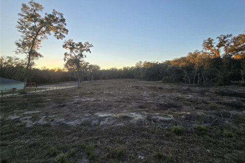 Terrain à vendre à Dunnellon, Floride № 2195463 - photo 3