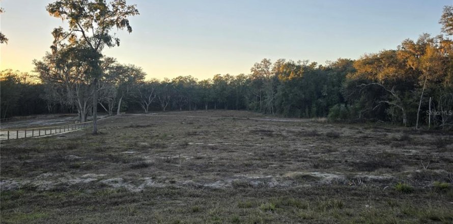 Terrain à Dunnellon, Floride № 2195463