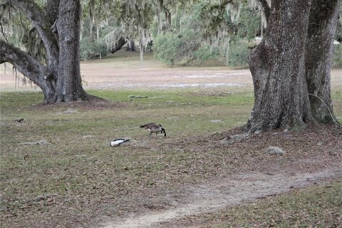 Terrain à vendre à Dunnellon, Floride № 2195463 - photo 4