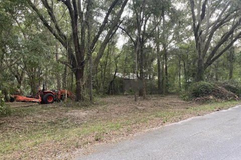 Terreno en Dunnellon, Florida № 2097990