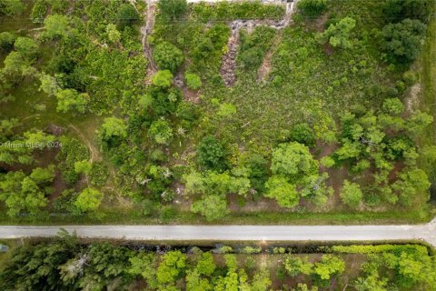 Terreno en venta en Lehigh Acres, Florida № 1952004 - foto 2