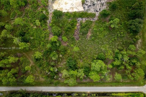 Terreno en venta en Lehigh Acres, Florida № 1952004 - foto 3