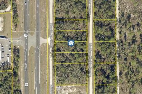 Land in Weeki Wachee, Florida № 2235049