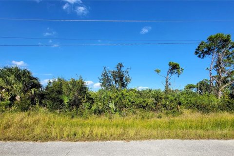 Land in Port Charlotte, Florida № 2159457 - photo 2
