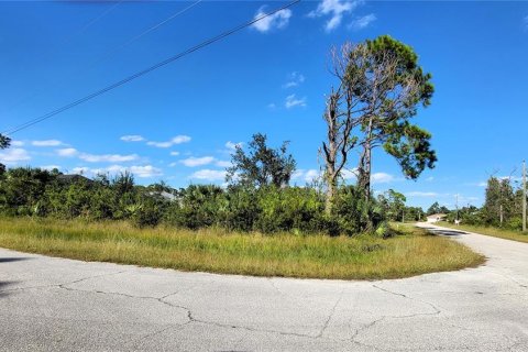 Land in Port Charlotte, Florida № 2159457 - photo 3