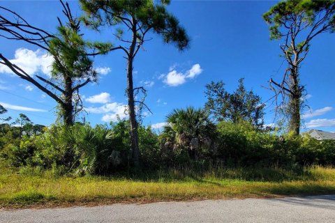 Land in Port Charlotte, Florida № 2159457 - photo 5