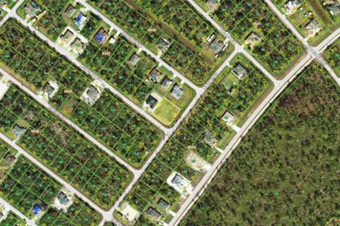 Land in Port Charlotte, Florida № 2159457 - photo 8