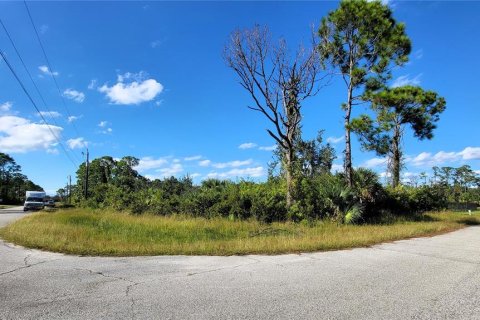 Land in Port Charlotte, Florida № 2159457 - photo 4