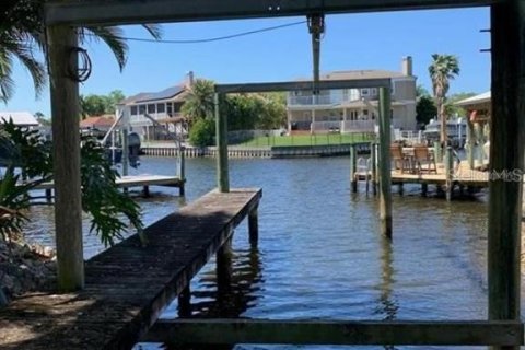 Villa ou maison à vendre à Tarpon Springs, Floride: 3 chambres, 119.75 m2 № 1681019 - photo 4