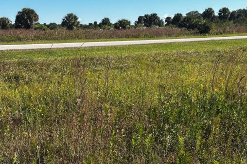 Propiedad comercial en venta en Okeechobee, Florida № 2187238 - foto 7
