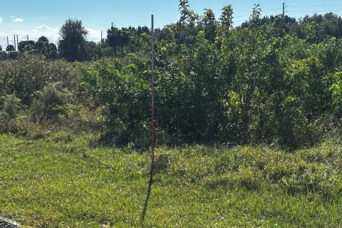 Propiedad comercial en venta en Okeechobee, Florida № 2187238 - foto 3