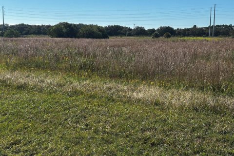 Propiedad comercial en venta en Okeechobee, Florida № 2187238 - foto 5