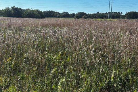 Propiedad comercial en venta en Okeechobee, Florida № 2187238 - foto 4