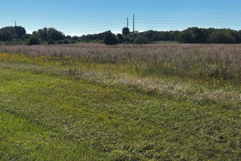 Propiedad comercial en venta en Okeechobee, Florida № 2187238 - foto 6