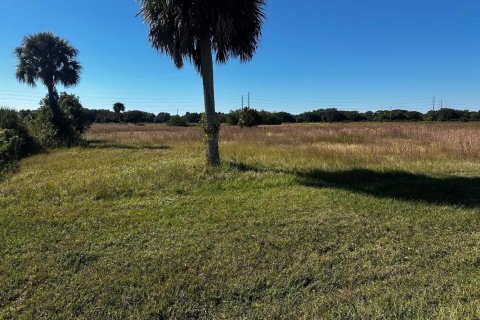 Propiedad comercial en Okeechobee, Florida № 2187238