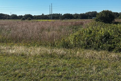 Propiedad comercial en venta en Okeechobee, Florida № 2187238 - foto 2