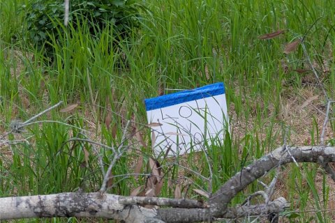 Land in Mulberry, Florida № 2209582 - photo 5