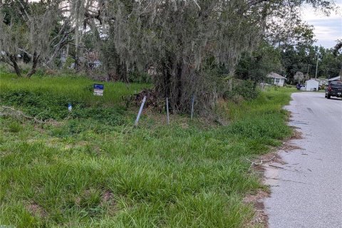 Land in Mulberry, Florida № 2209582 - photo 4