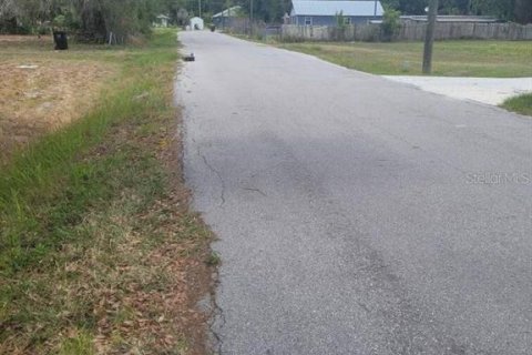 Land in Mulberry, Florida № 2209582 - photo 2