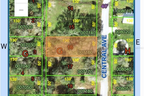 Land in Mulberry, Florida № 2209582 - photo 6