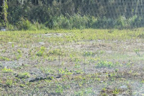 Land in Mulberry, Florida № 2209582