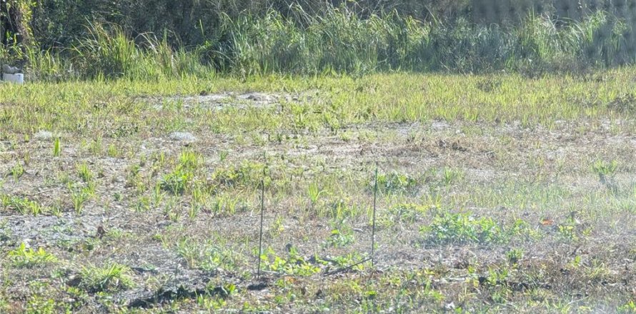 Land in Mulberry, Florida № 2209582