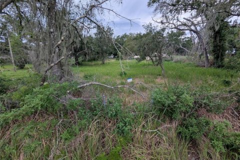 Land in Mulberry, Florida № 2209582 - photo 3
