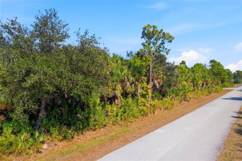 Land in Port Charlotte, Florida № 2400387 - photo 4