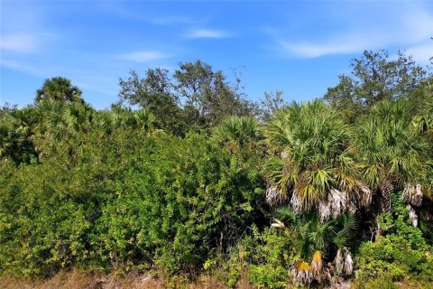 Land in Port Charlotte, Florida № 2400387 - photo 5