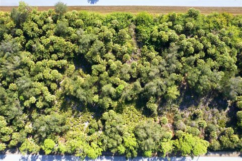 Land in Port Charlotte, Florida № 2400387 - photo 6