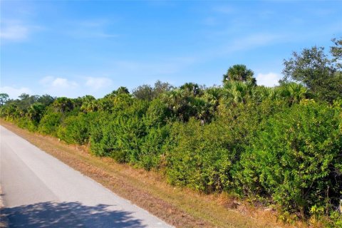 Land in Port Charlotte, Florida № 2400387 - photo 2
