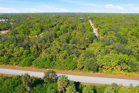 Land in Port Charlotte, Florida № 2400387 - photo 7