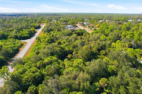 Land in Port Charlotte, Florida № 2400387 - photo 3