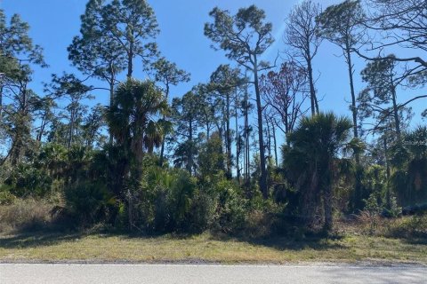 Land in Port Charlotte, Florida № 1534316 - photo 4