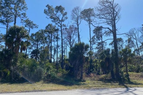 Land in Port Charlotte, Florida № 1534316 - photo 3
