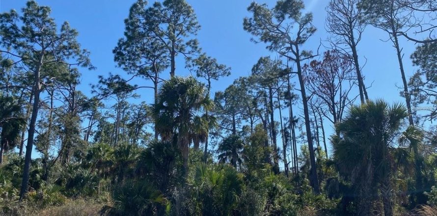 Land in Port Charlotte, Florida № 1534316
