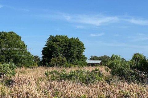 Commercial property in Okeechobee, Florida № 1880397 - photo 3