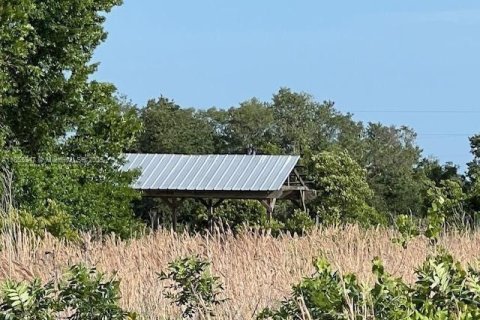 Commercial property in Okeechobee, Florida № 1880397 - photo 4