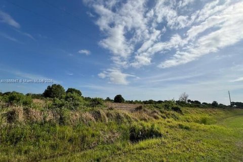 Commercial property in Okeechobee, Florida № 1880397 - photo 2