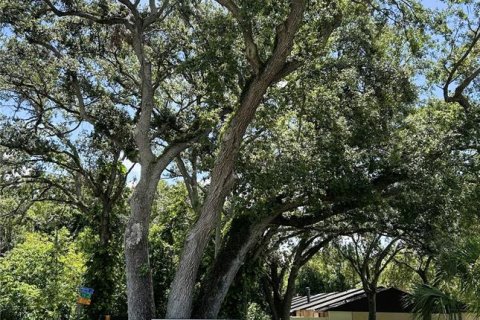 Condo in Tampa, Florida, 2 bedrooms  № 1828086 - photo 17