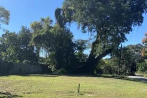 Terrain à Apopka, Floride № 2376581